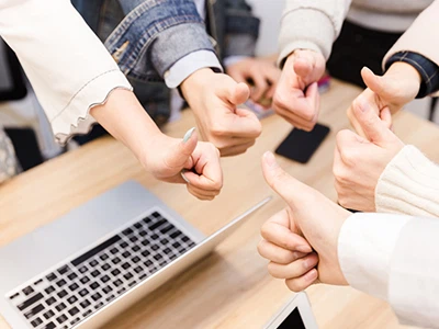 Main Hom Laminated iav